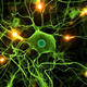 Illustration for article titled Where the Buffalo Theory gets neuroscience right (almost)